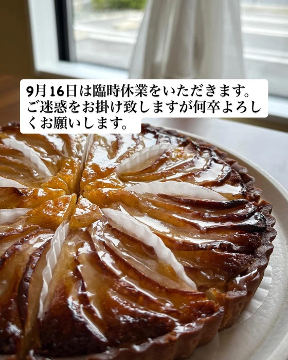 画像256